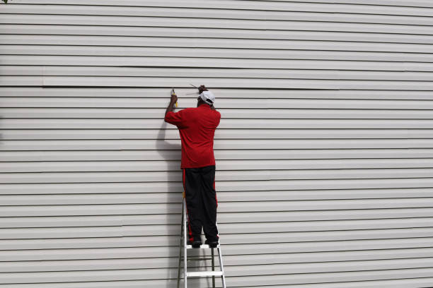 Best Insulated Siding Installation  in Woodbridge, CA